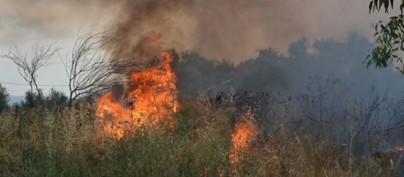 Βοιωτία: Φωτιά και στις Θεσπιές - Άμεση η κινητοποίηση της πυροσβεστικής